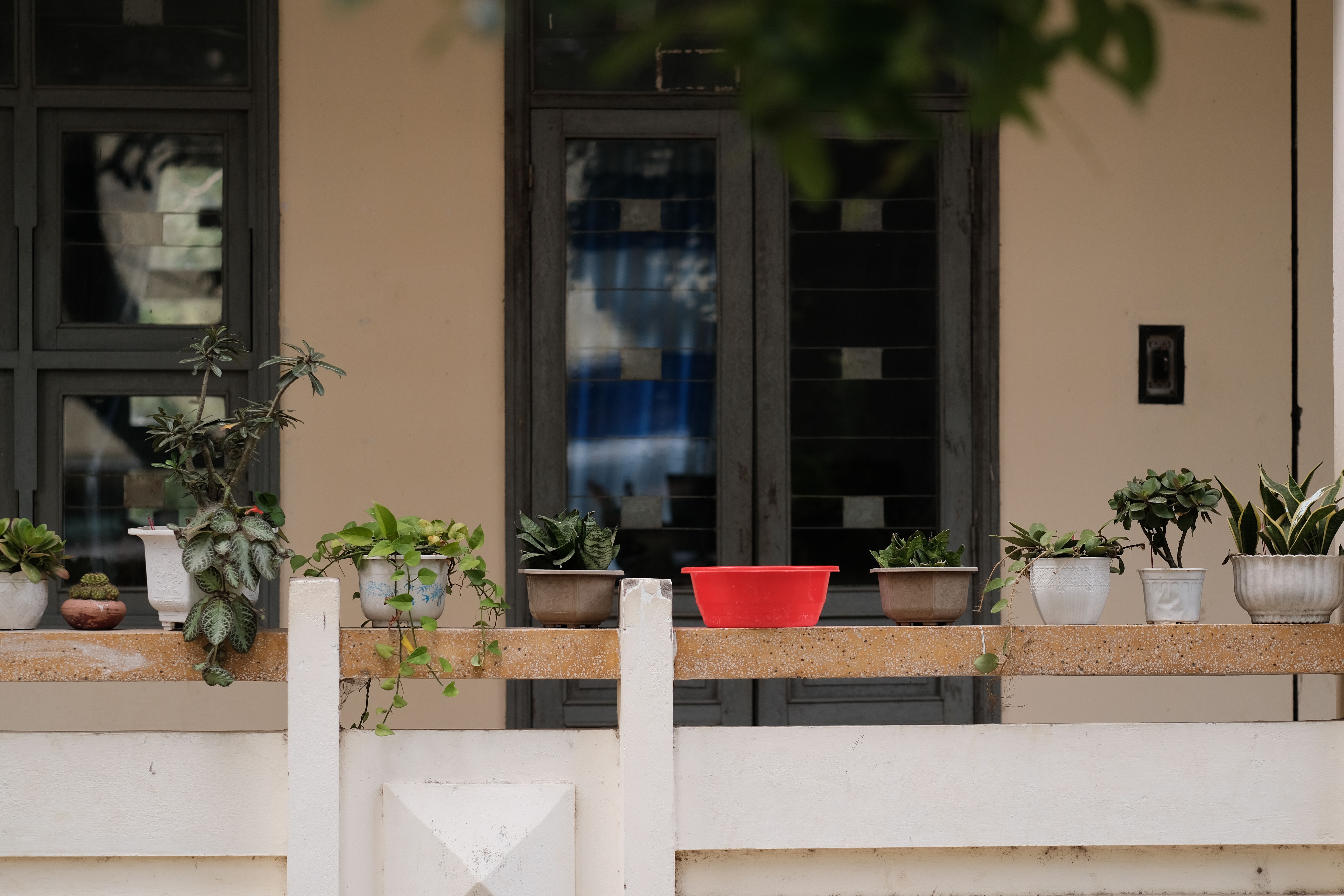 Peaceful balcony with a variety of potted plants and a red container